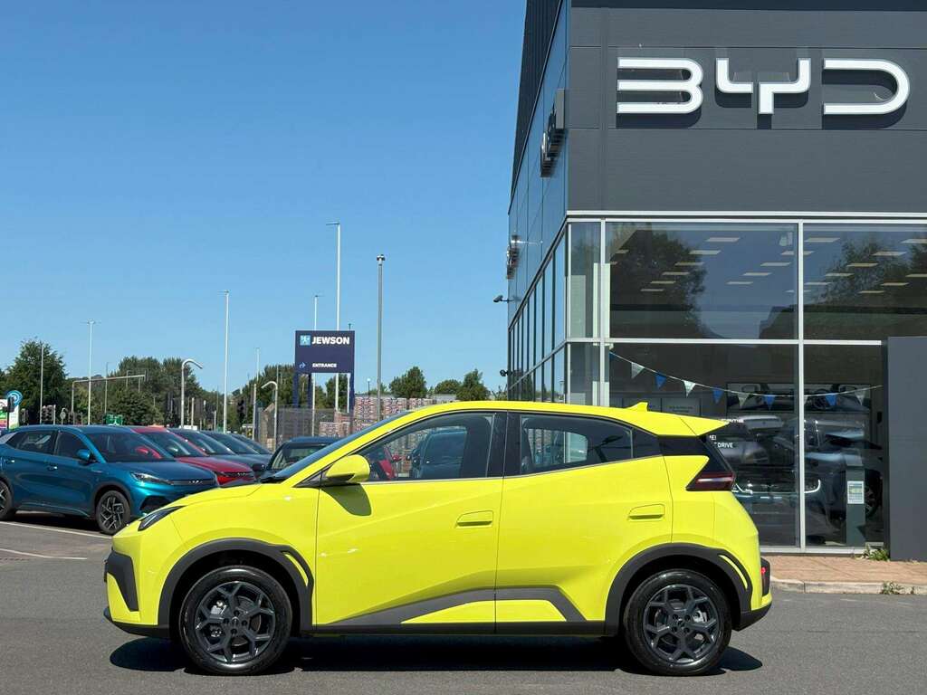 Byd Dolphin 65Kw Boost 43Kwh Green #3