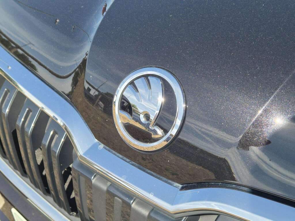 Skoda Kamiq 1.0 Tsi 110 Monte Carlo Silver #22
