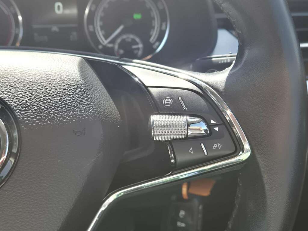 Skoda Kamiq 1.0 Tsi 110 Monte Carlo Silver #30