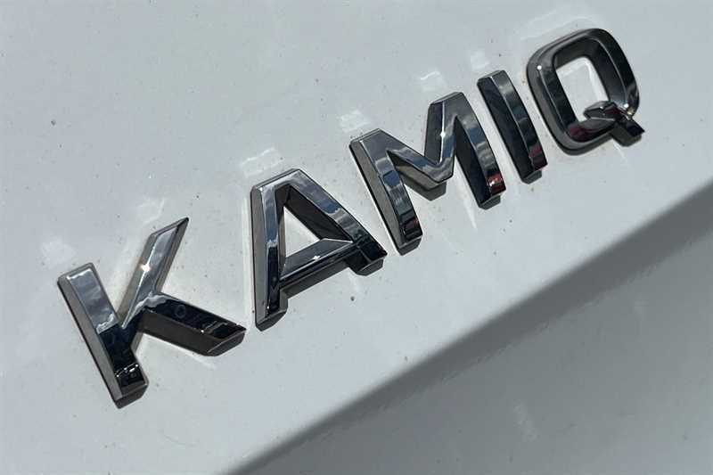 Skoda Kamiq 1.0 Tsi Se Silver #30