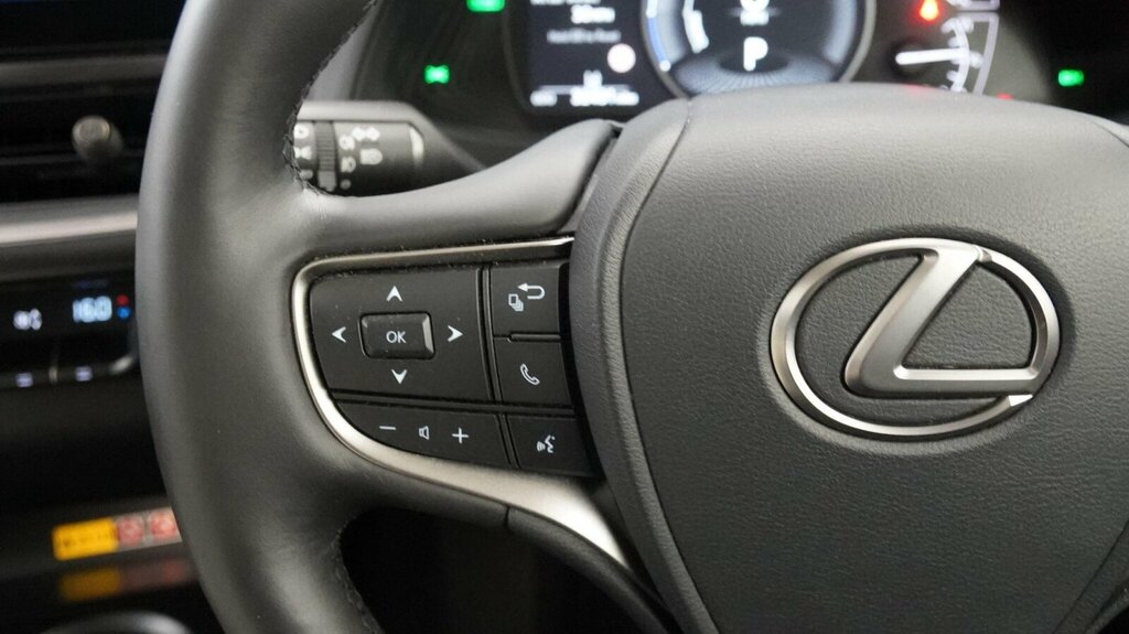 Lexus UX 2.0 250H Premium Sport Edition E-cvt Euro 6 Ss Grey #18