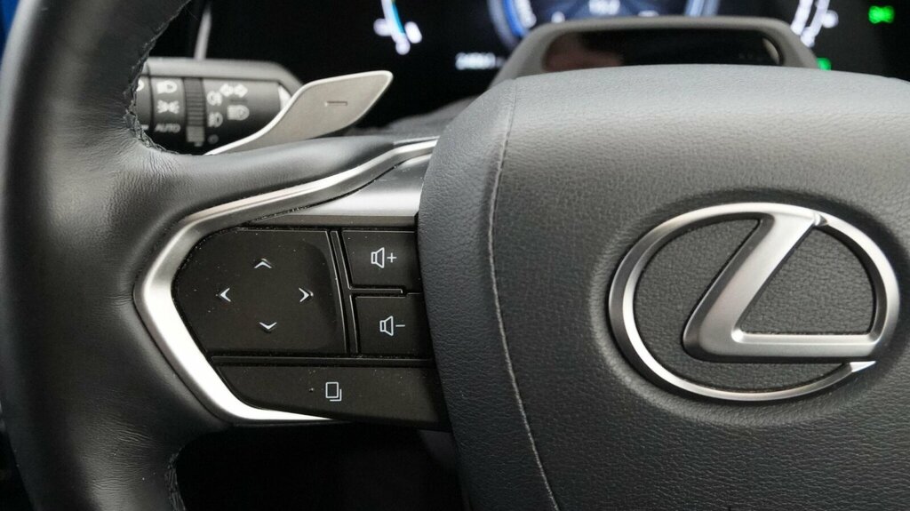 Lexus RX 2.5 450H 18.1Kwh Prem E-cvt 4Wd Euro 6 Ss Black #20