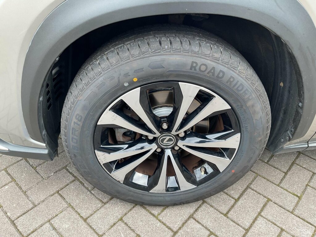 Lexus NX 300H 2.5 Cvt Premium Sport Edition Silver #24