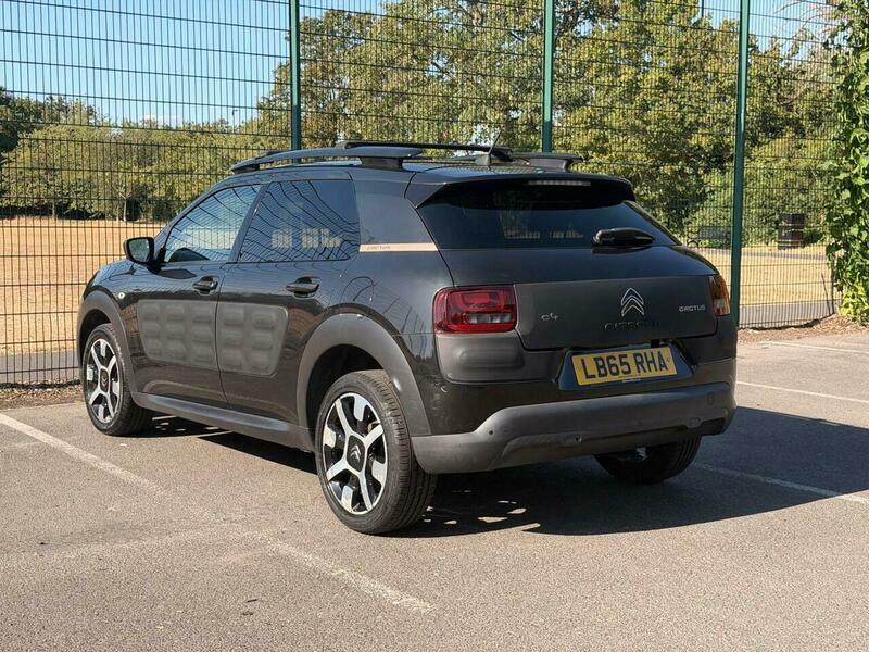 Citroen C4 Cactus 1.6 Bluehdi Flair Edition Hatchback Man Blue #8