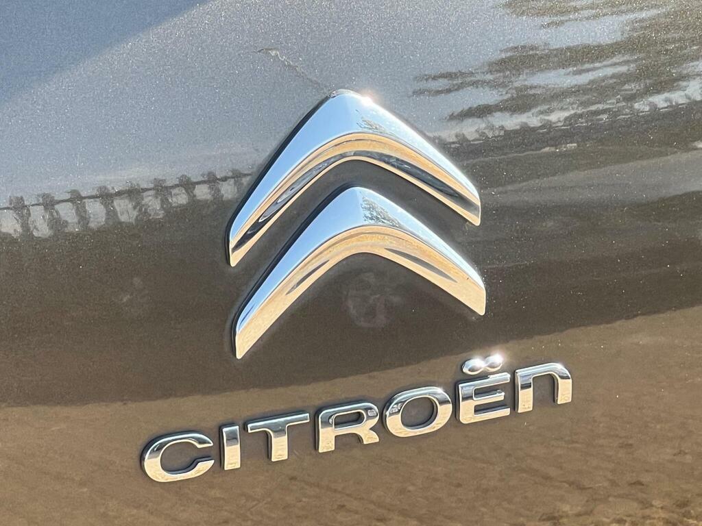 Citroen Grand C4 SpaceTourer 1.6 E-hdi Vtr Mpv Euro 5 Ss Silver #19