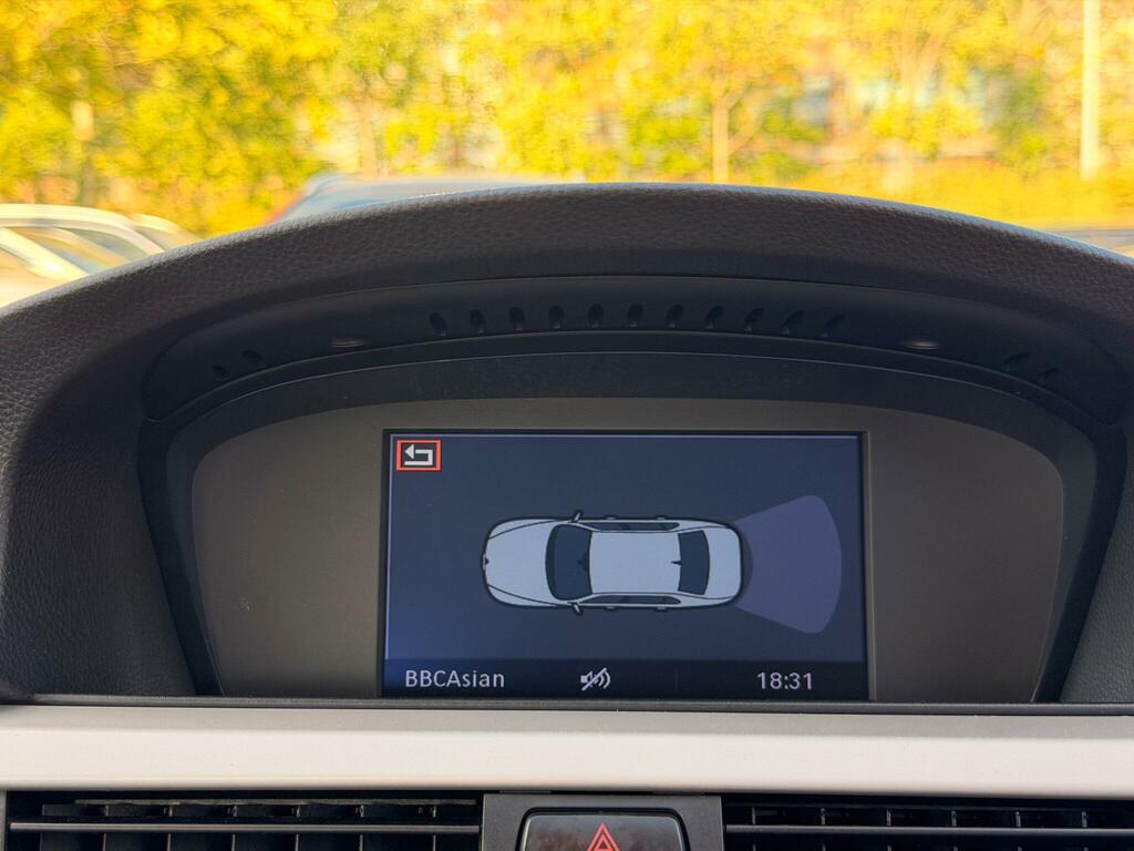 BMW 3 Series 2.0 320I Se Highline Steptronic Euro 4 Brown #47