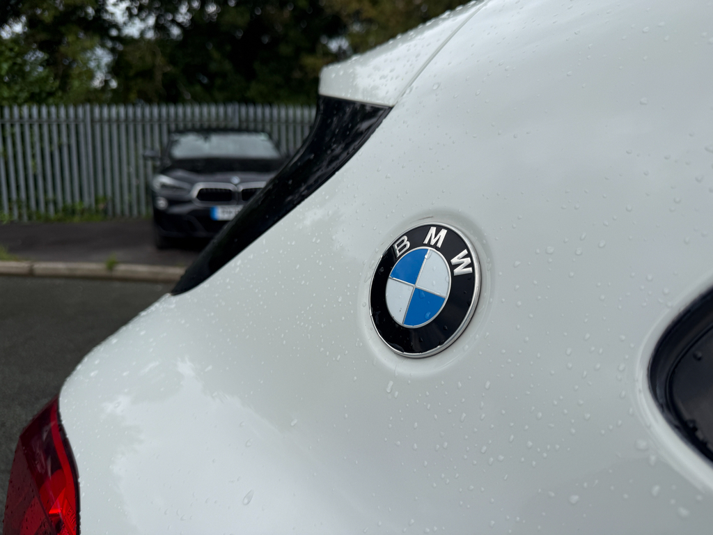 BMW X2 2.0 20I Sport Suv Dct Sdrive Orange #25