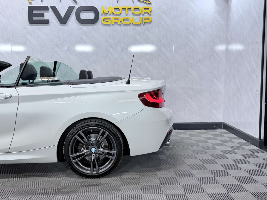 BMW 2 Series 2.0Td 220D Sport Convertible Red #7
