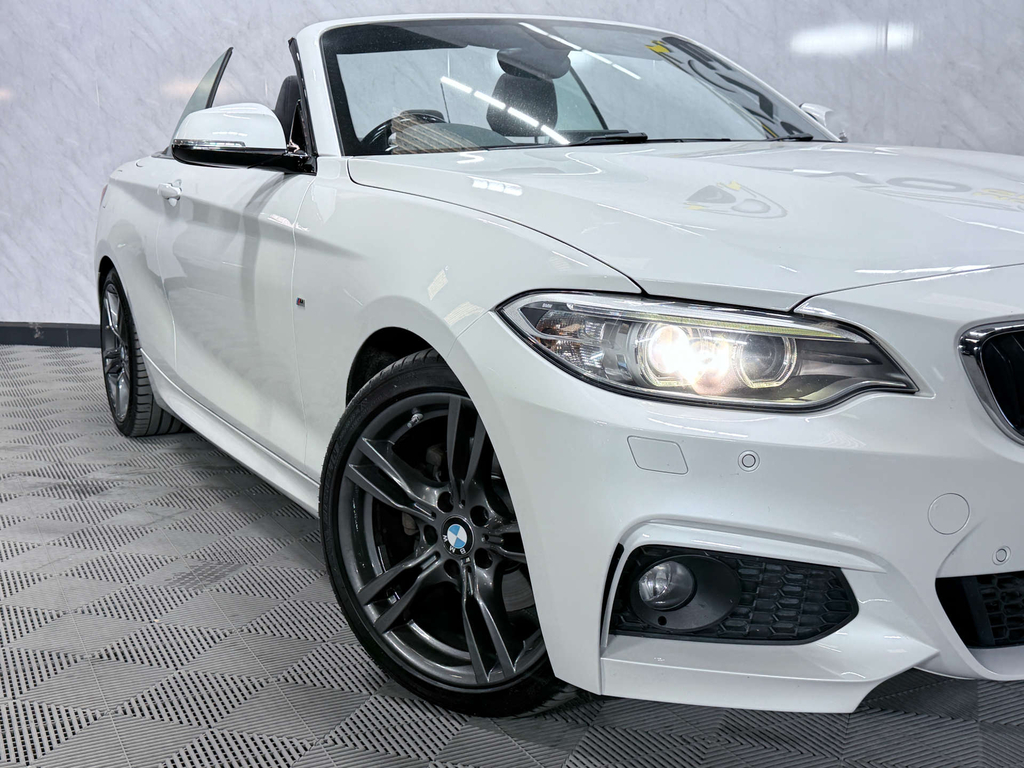 BMW 2 Series 2.0Td 220D Sport Convertible Red #54
