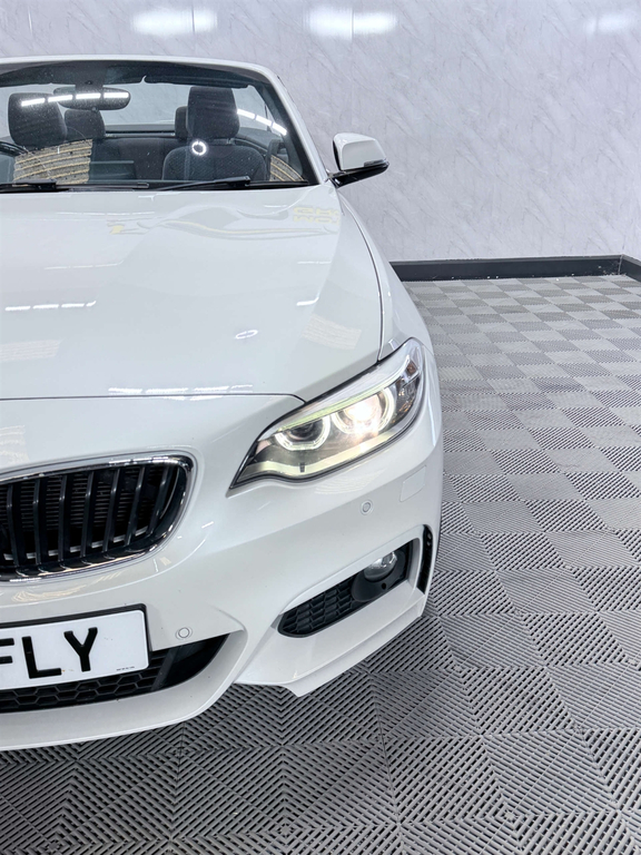 BMW 2 Series 2.0Td 220D Sport Convertible Red #58
