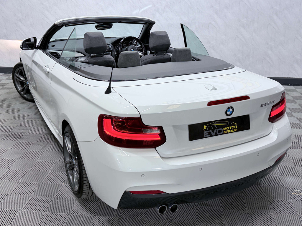 BMW 2 Series 2.0Td 220D Sport Convertible Red #21