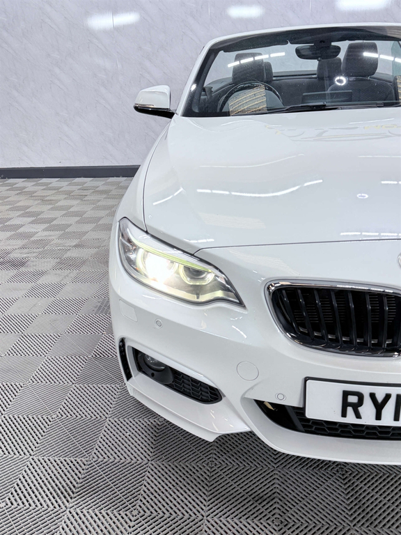 BMW 2 Series 2.0Td 220D Sport Convertible Red #57