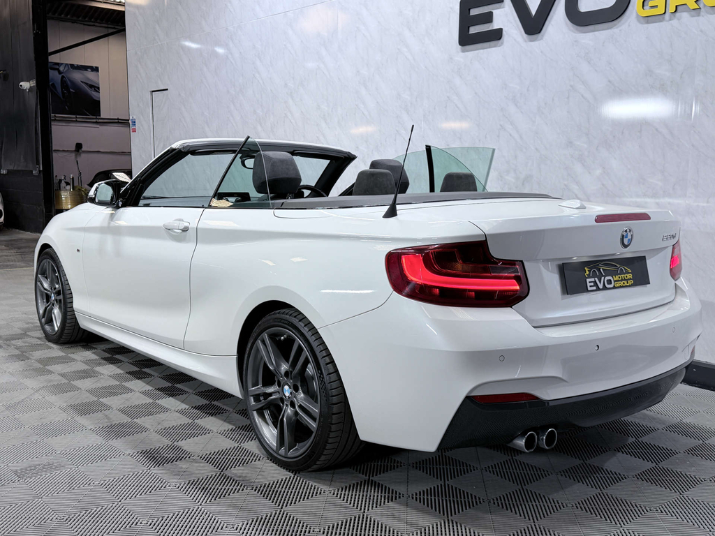 BMW 2 Series 2.0Td 220D Sport Convertible Red #8