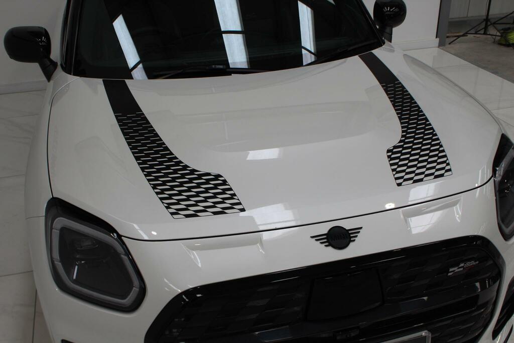 Mini Countryman Sport White #5