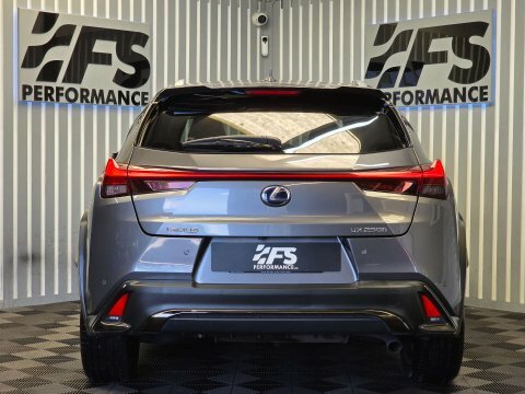 Lexus UX 2019 19 2.0 Grey #5