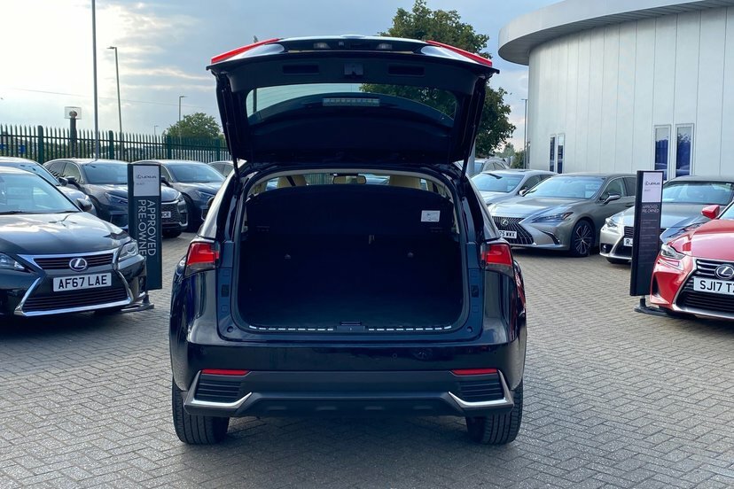 Lexus NX 300H 2.5 Premium Sport Edition Cvt Red #15