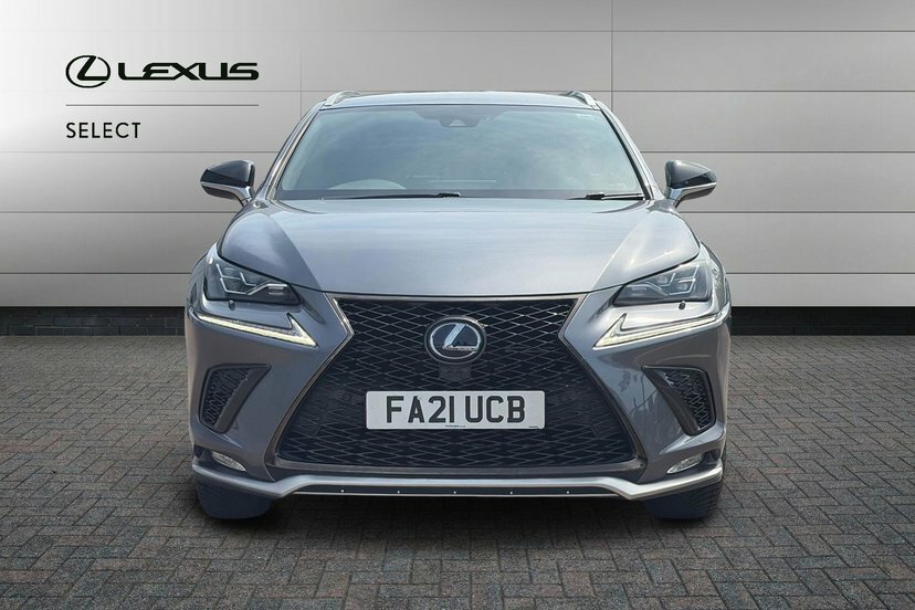 Lexus NX 300H 2.5 F-sport Cvt Premium Pack Grey #7