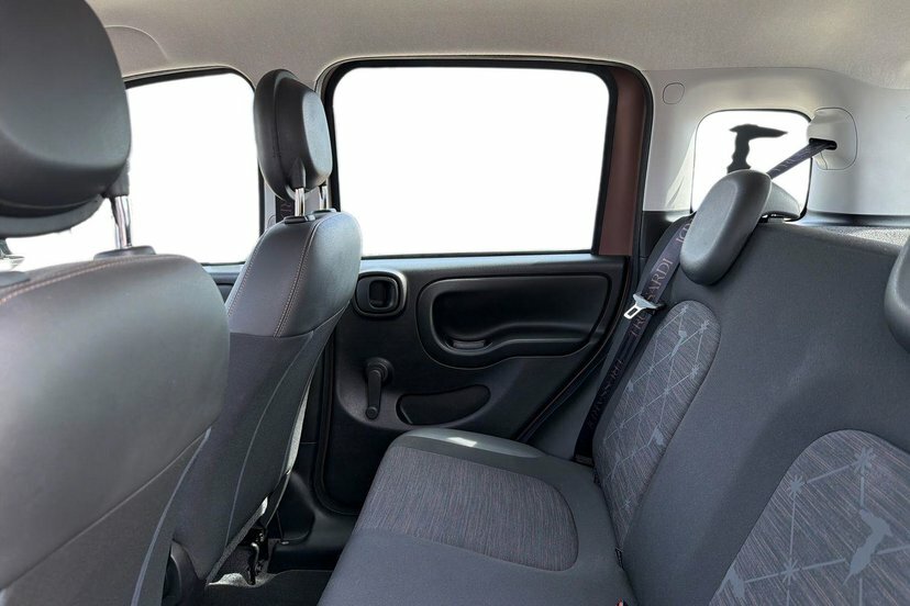 Fiat Panda 1.0 Mild Hybrid City Cross Green #10