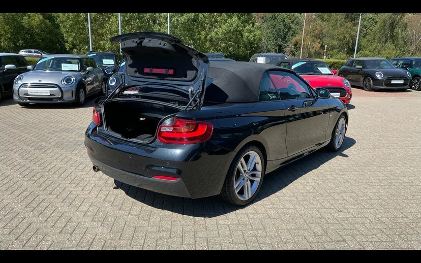BMW 2 Series 1.5 218I Luxury Convertible Euro White #26
