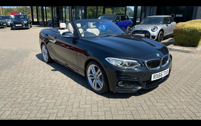 BMW 2 Series 1.5 218I Luxury Convertible Euro White #30