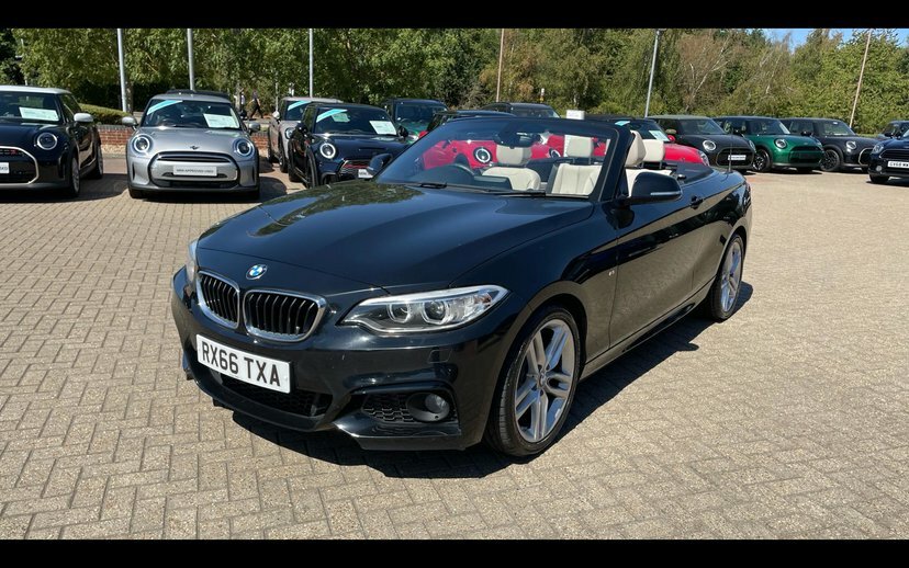 BMW 2 Series 1.5 218I Luxury Convertible Euro White #31