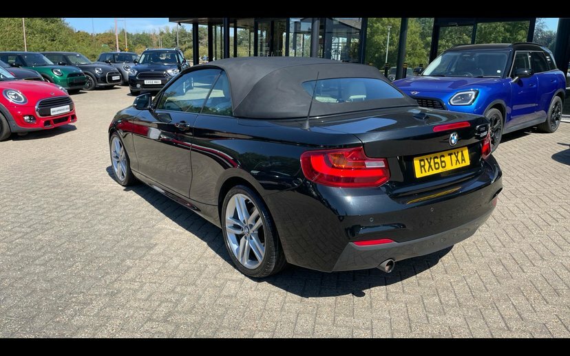 BMW 2 Series 1.5 218I Luxury Convertible Euro White #23