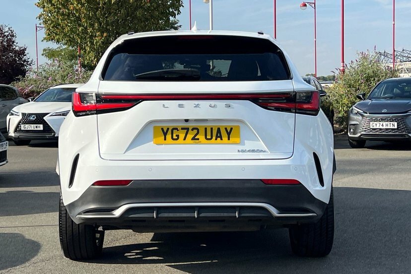Lexus NX 2.5 450H 18.1Kwh F Sport E-cvt 4Wd Euro 6 Ss 5 Silver #12