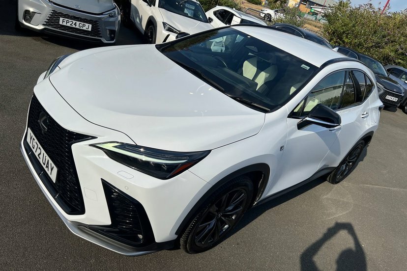 Lexus NX 2.5 450H 18.1Kwh F Sport E-cvt 4Wd Euro 6 Ss 5 Silver #33