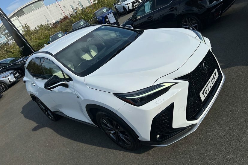 Lexus NX 2.5 450H 18.1Kwh F Sport E-cvt 4Wd Euro 6 Ss 5 Silver #31