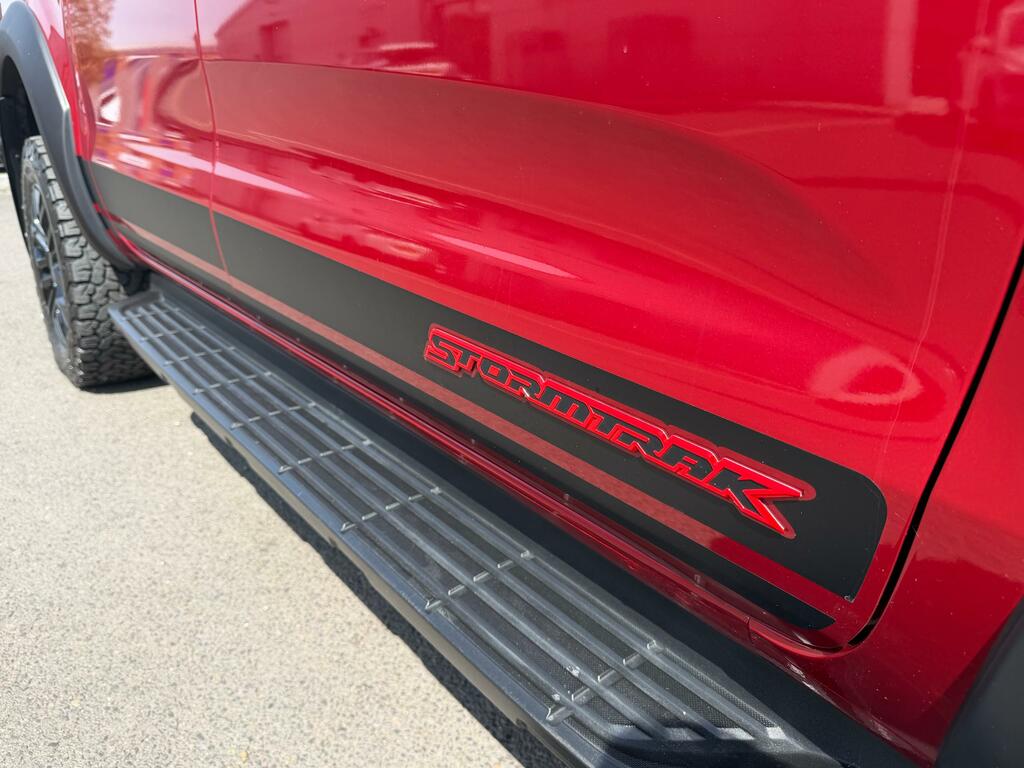 Ford Ranger 2.0 Ecoblue Wildtrak 4Wd Euro 6 Black #13