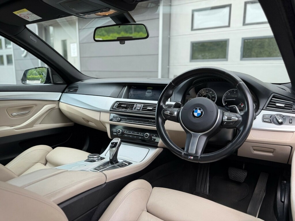 BMW 5 Series 2.0 520D Se Euro 6 Ss Silver #9