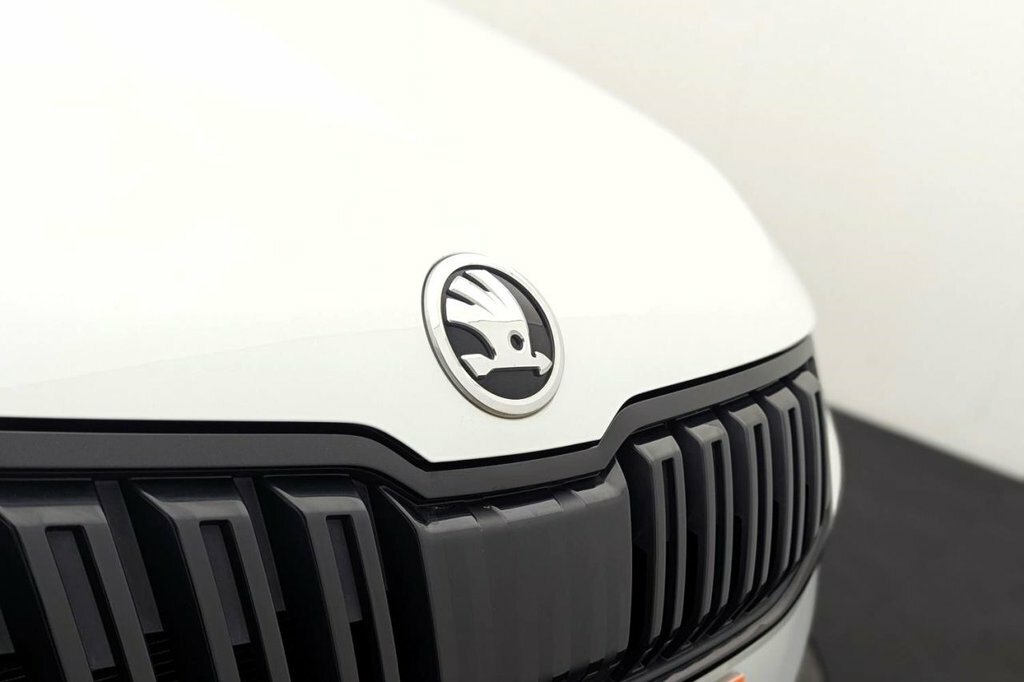 Skoda Karoq 1.5 Tsi Edition Dsg Black #44