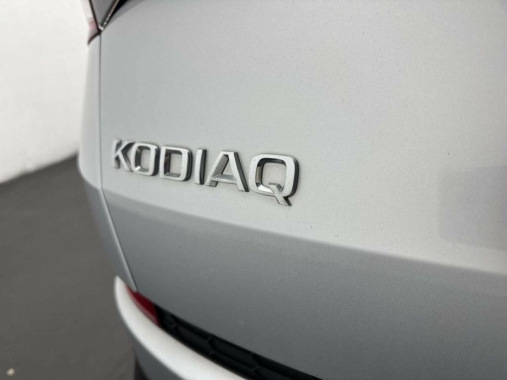 Skoda Kodiaq 2.0 Tdi Se 4X4 Blue #29