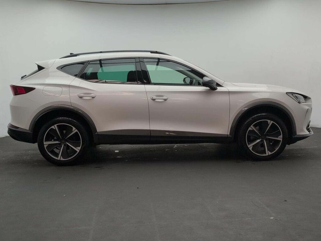 Cupra Formentor 2.0 Tsi V2 Suv Dsg 4Drive Euro 6 Ss #9