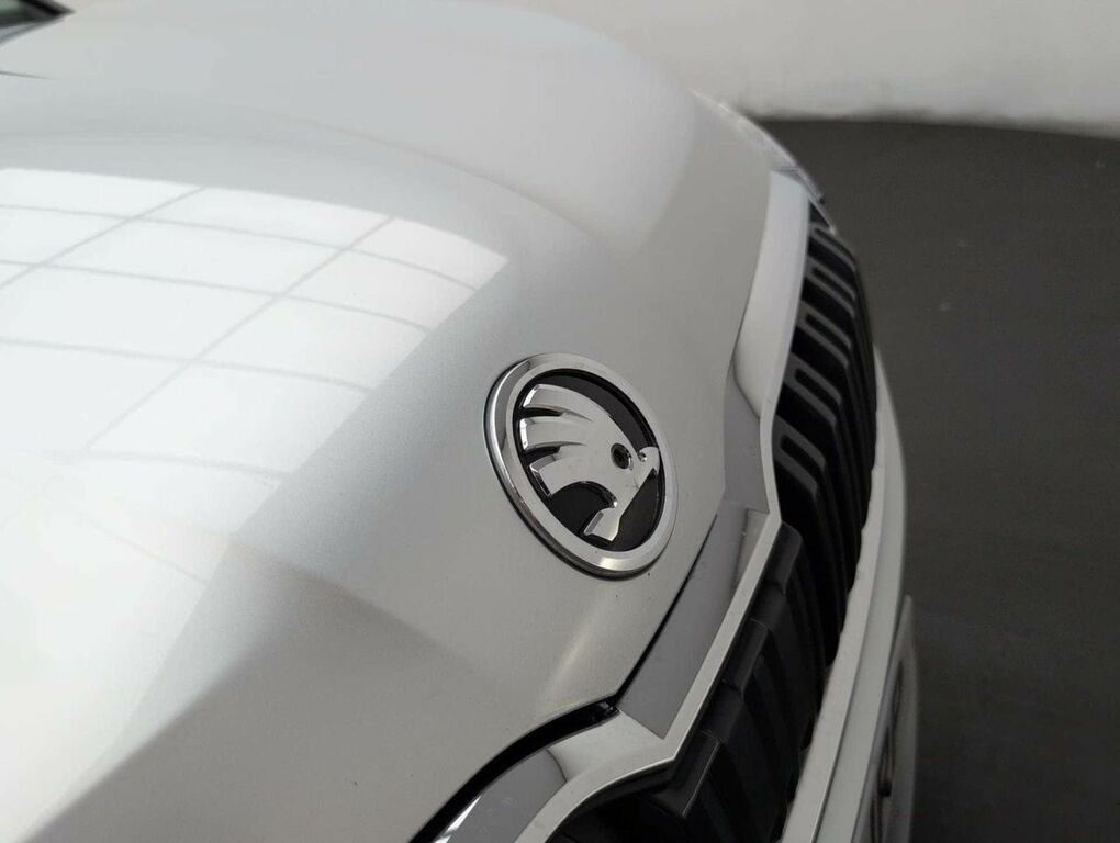 Skoda Kamiq 1.5 Tsi Se L Dsg Red #33