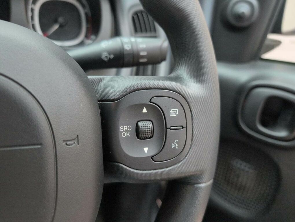 Fiat Panda 1.0 Mhev City Cross Euro 6 S S Grey #19