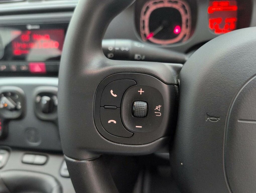 Fiat Panda 1.0 Mhev City Cross Euro 6 S S Grey #18