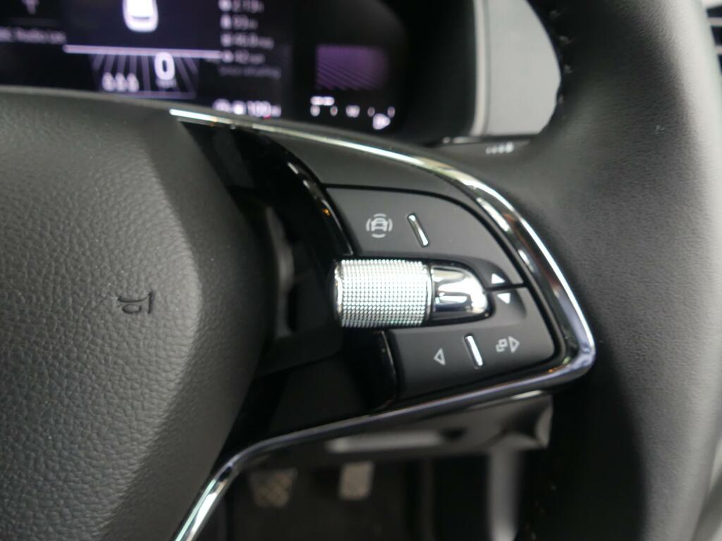Skoda Karoq 1.5 Tsi Se L Dsg Blue #29