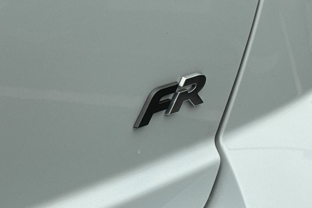 Seat Ibiza Seat Ibiza 1.0 Tsi 115 Fr Dsg Grey #48