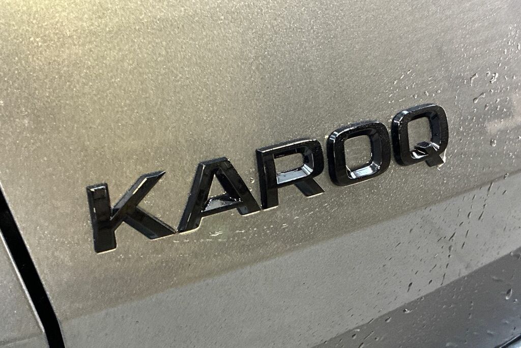 Skoda Karoq Se L Grey #20