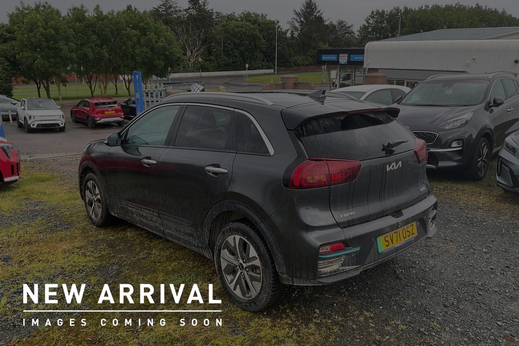 Kia e-Niro 64Kwh 3 Suv 201 Bhp Grey #3