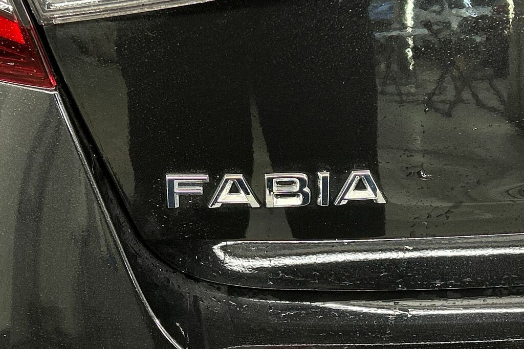 Skoda Fabia 1.0 Tsi 116 Se L Edition Dsg Grey #20