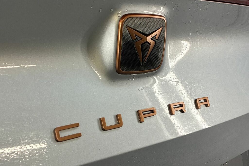 Cupra Formentor Cupra 2.0 Tsi 310 Vz3 Dsg 4Drive Estate Grey #20