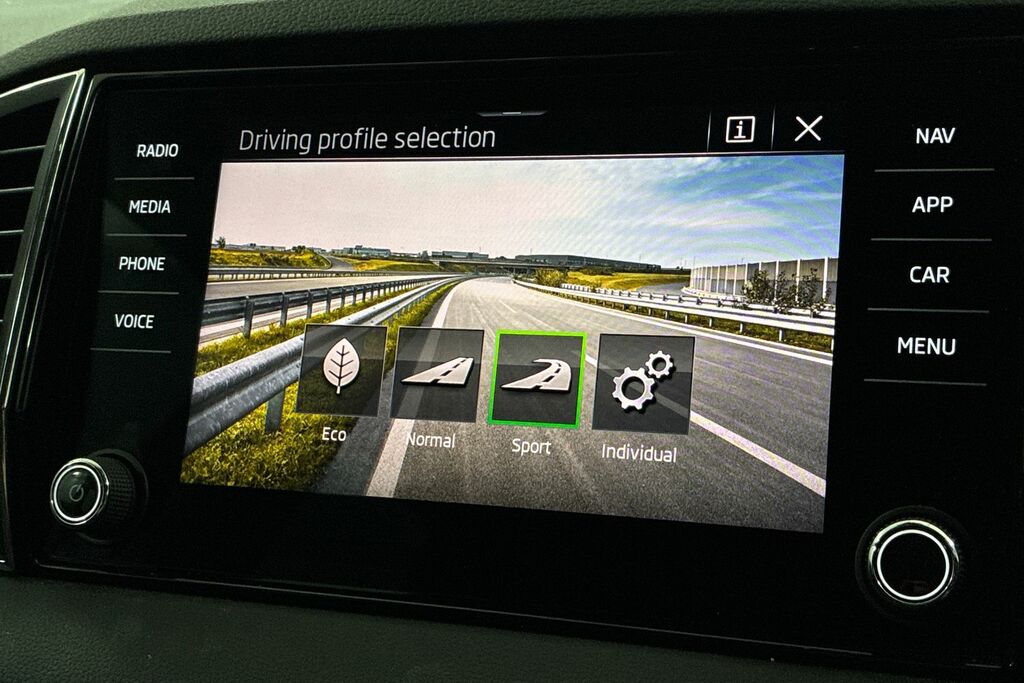 Skoda Karoq 1.5 Tsi Se L Edition Dsg Silver #24