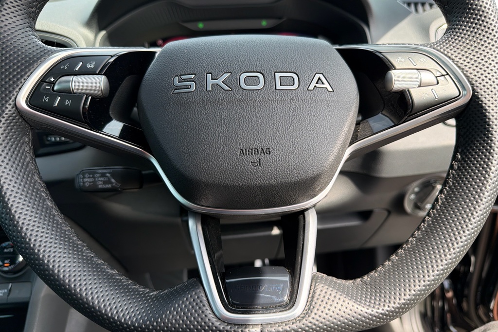 Skoda Karoq 1.5 Tsi Se L Edition Dsg Grey #19