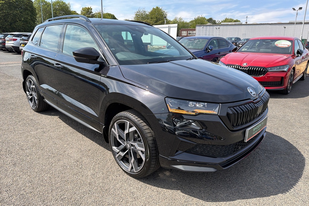 Skoda Karoq 1.5 Tsi Se L Edition Dsg Grey #33