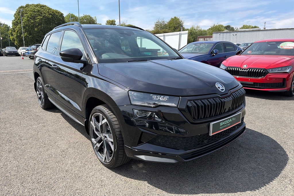 Skoda Karoq 1.5 Tsi Se L Edition Dsg Grey #42