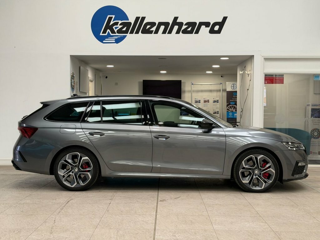 Skoda Octavia 2L Vrs Grey #2