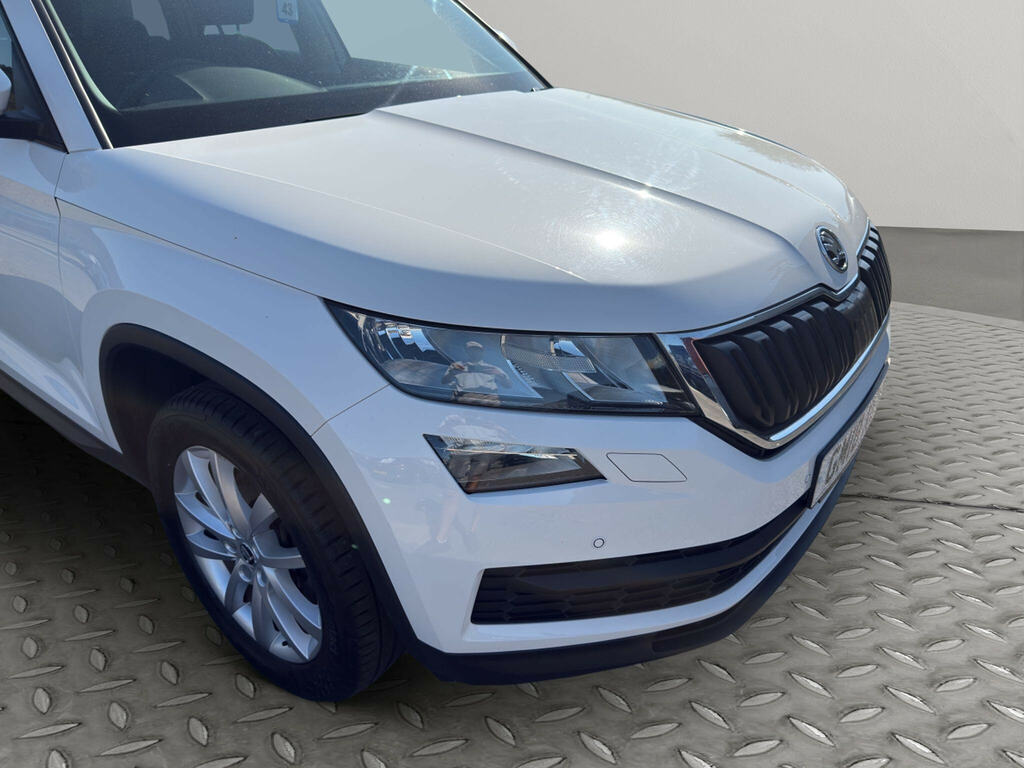 Skoda Kodiaq  Grey #42