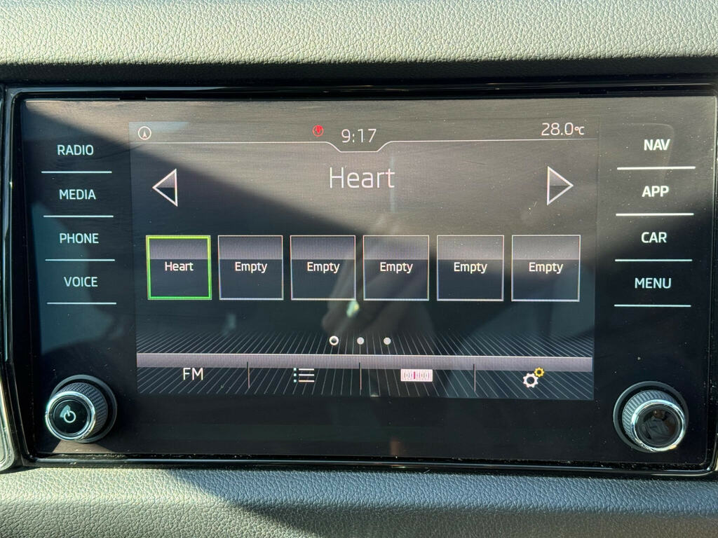 Skoda Kodiaq  Grey #25
